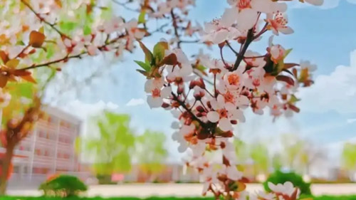 未标题-4-恢复的