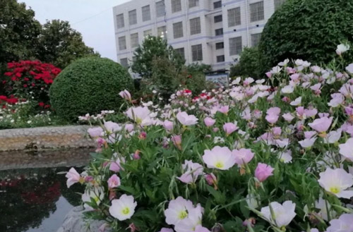 未标题-2 未标题-2