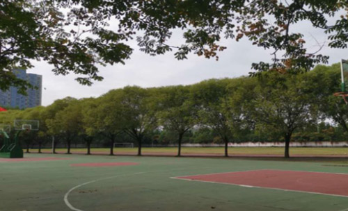 未标题-1-恢复的